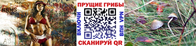 Галлюциногенные грибы Psilocybine cubensis Питкяранта